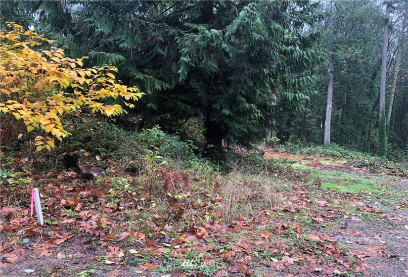 0 Alder, Indianola, Washington 98342, ,Land,For Sale,Indianola 2nd Addition,Alder,NWM1869271