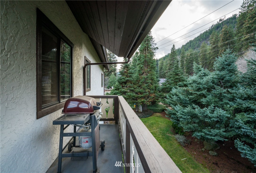 110 Icicle Road, Leavenworth, Washington 98826, 2 Bedrooms Bedrooms, ,2 BathroomsBathrooms,Residential,For Sale,Rothenburg,Icicle Road,NWM1869078