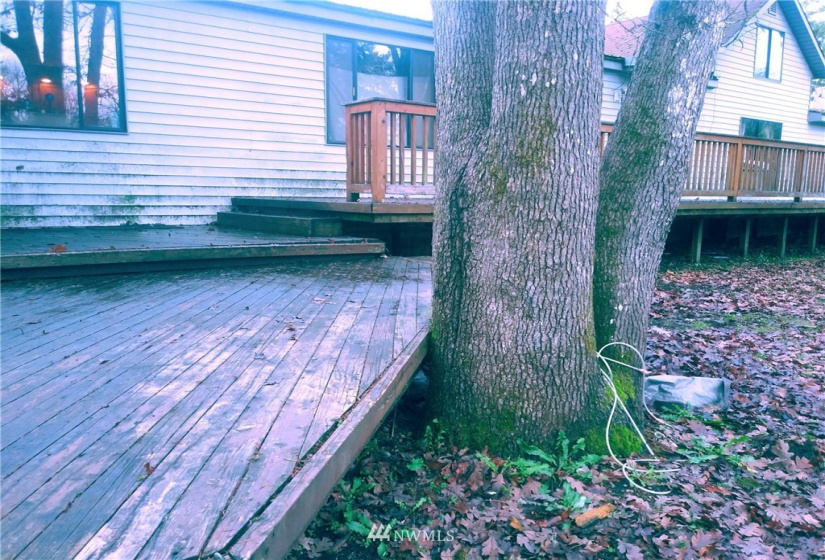 29210 Lyons, Roy, Washington 98580, 3 Bedrooms Bedrooms, ,1 BathroomBathrooms,Residential,For Sale,Lyons,NWM1868190