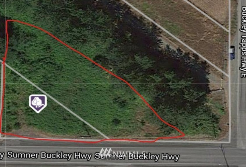 24519 Sumner Buckley, Buckley, Washington 98321, ,Land,For Sale,Sumner Buckley,NWM1868905