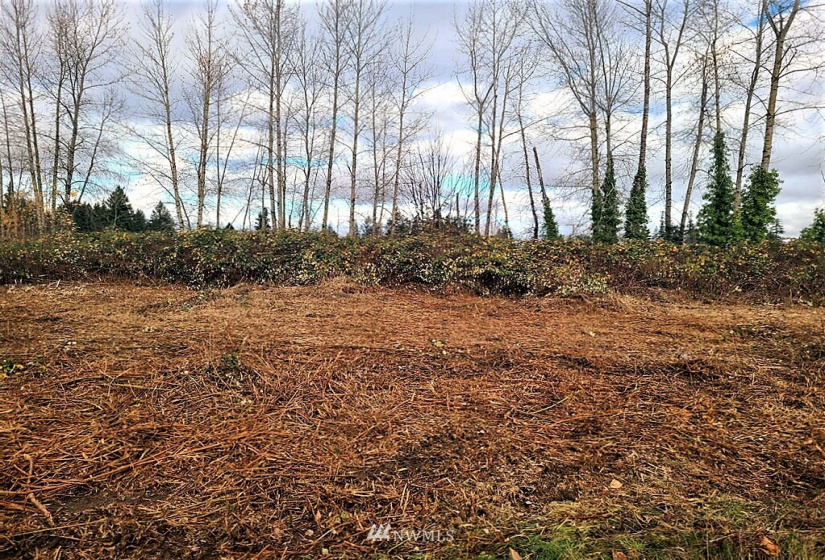 24519 Sumner Buckley, Buckley, Washington 98321, ,Land,For Sale,Sumner Buckley,NWM1868905