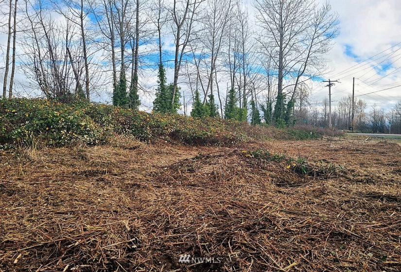 24519 Sumner Buckley, Buckley, Washington 98321, ,Land,For Sale,Sumner Buckley,NWM1868905