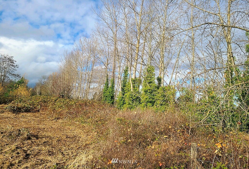 24519 Sumner Buckley, Buckley, Washington 98321, ,Land,For Sale,Sumner Buckley,NWM1868905