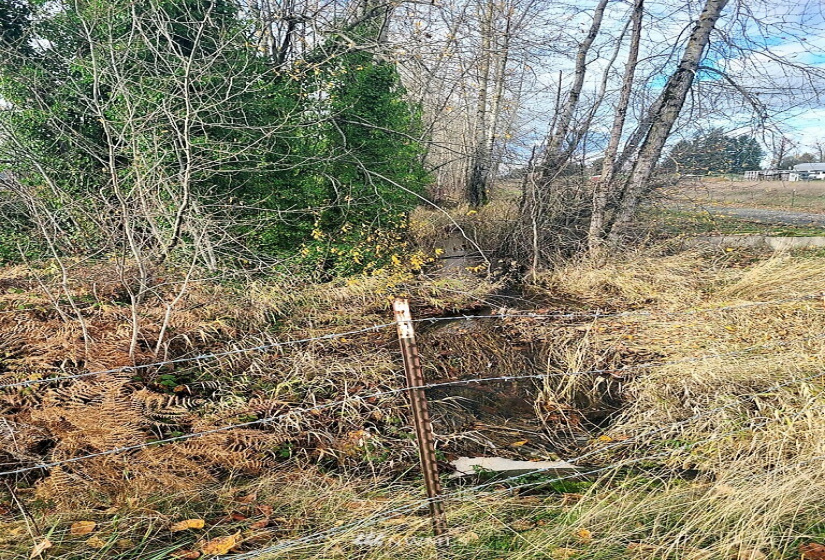 24519 Sumner Buckley, Buckley, Washington 98321, ,Land,For Sale,Sumner Buckley,NWM1868905