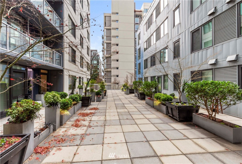 76 Cedar, Seattle, Washington 98121, 1 Bedroom Bedrooms, ,1 BathroomBathrooms,Residential,For Sale,The Parc Belltown,Cedar,NWM1868898