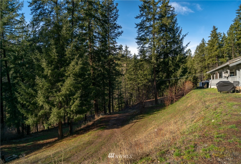 3955 Camas Creek Road, Peshastin, Washington 98847, 3 Bedrooms Bedrooms, ,1 BathroomBathrooms,Residential,For Sale,Camas Creek Road,NWM1869658