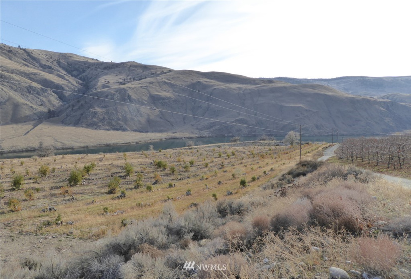 36 Hugo, Chelan, Washington 98816, ,Land,For Sale,new BLA, new COE,Hugo,NWM1869087