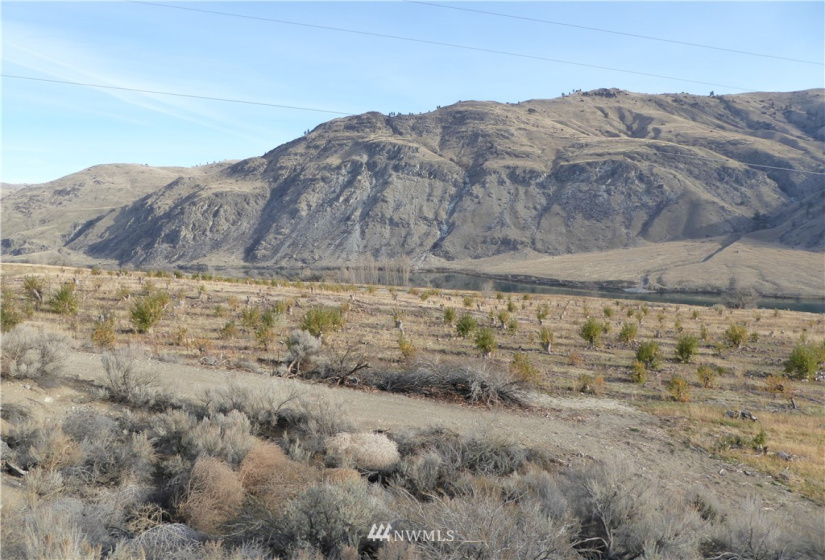 36 Hugo, Chelan, Washington 98816, ,Land,For Sale,new BLA, new COE,Hugo,NWM1869087