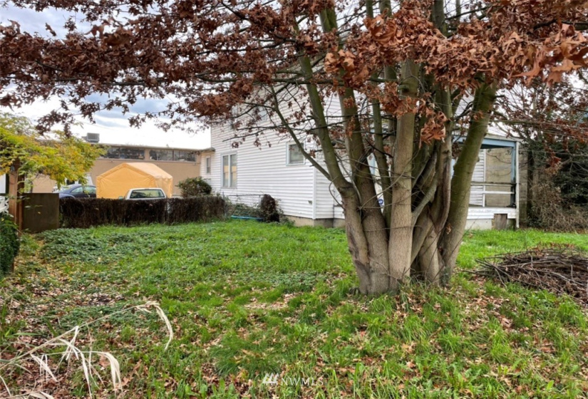 438 Main, Auburn, Washington 98001, 5 Bedrooms Bedrooms, ,1 BathroomBathrooms,Residential,For Sale,Main,NWM1869444