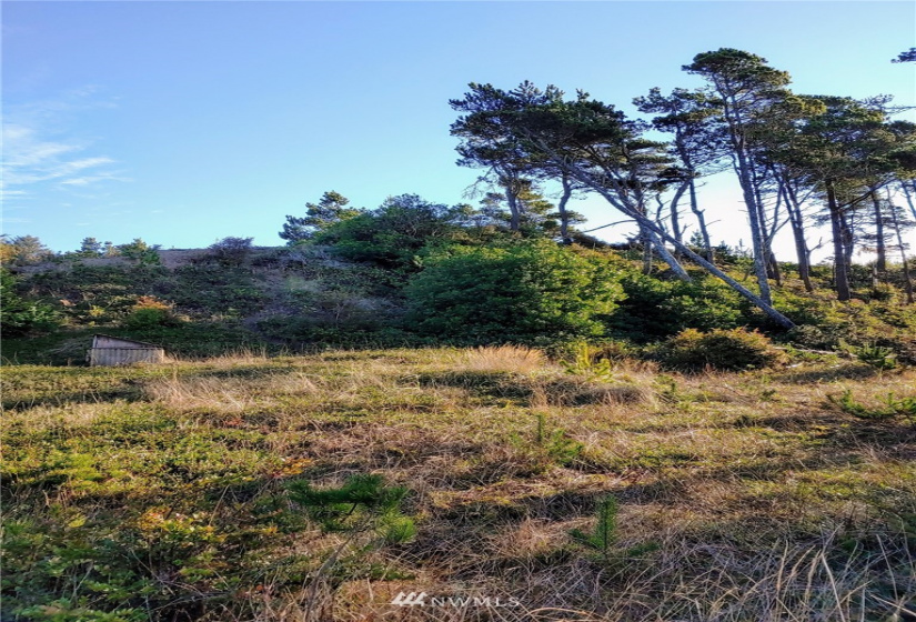 0 I street, Ocean Park, Washington 98640, ,Land,For Sale,Ocean Villa,I street,NWM1869694