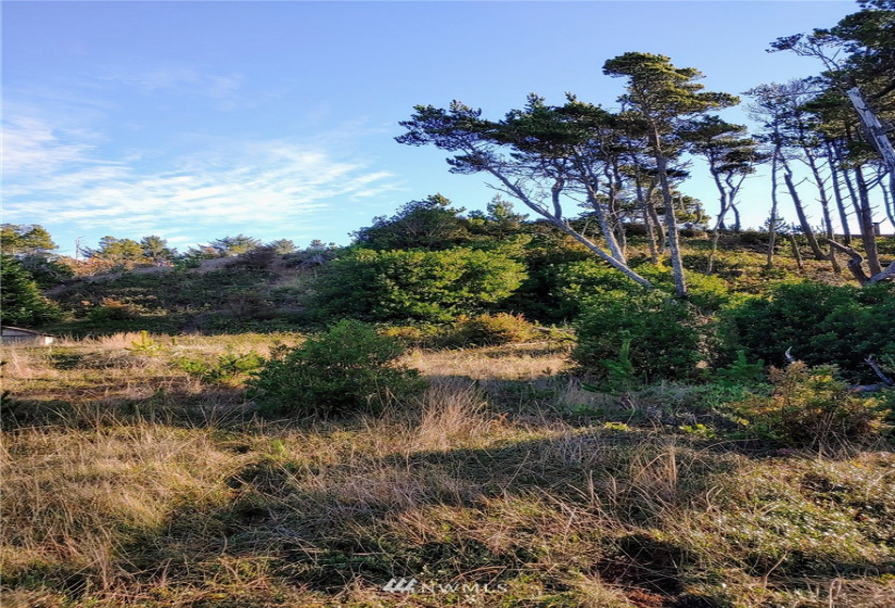 0 I street, Ocean Park, Washington 98640, ,Land,For Sale,Ocean Villa,I street,NWM1869694