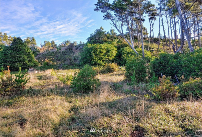 0 I street, Ocean Park, Washington 98640, ,Land,For Sale,Ocean Villa,I street,NWM1869694