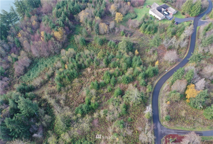 7 Lot Maple Ridge, Cathlamet, Washington 98612, ,Land,For Sale,Maple Ridge,Maple Ridge,NWM1869626