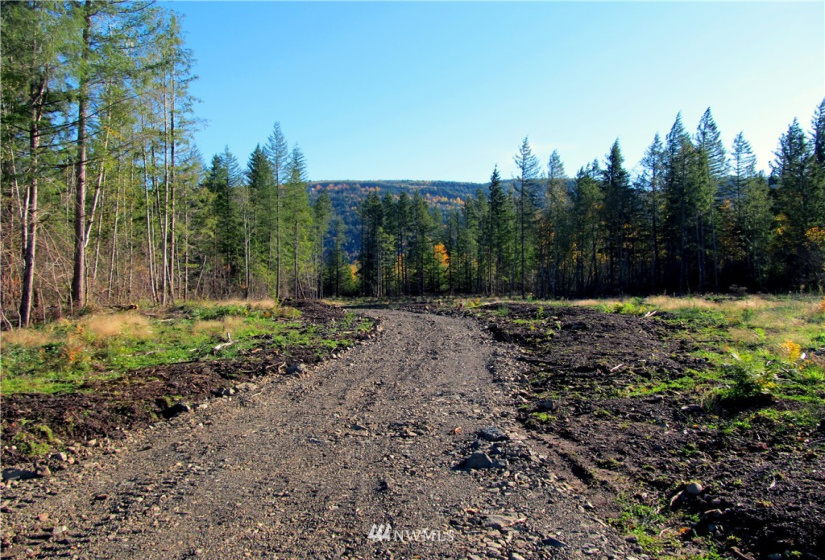 8720 Greentree, Maple Falls, Washington 98266, ,Land,For Sale,Hill No 1 Short Plat,Greentree,NWM1868966