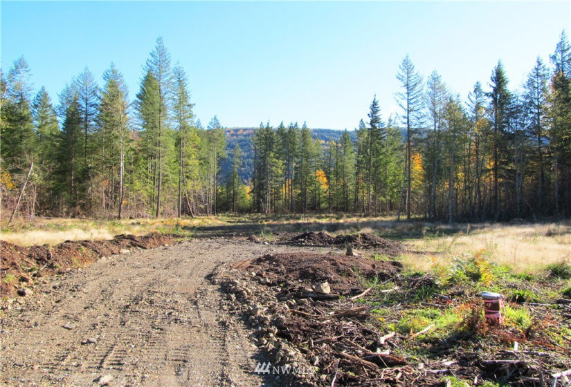8720 Greentree, Maple Falls, Washington 98266, ,Land,For Sale,Hill No 1 Short Plat,Greentree,NWM1868966