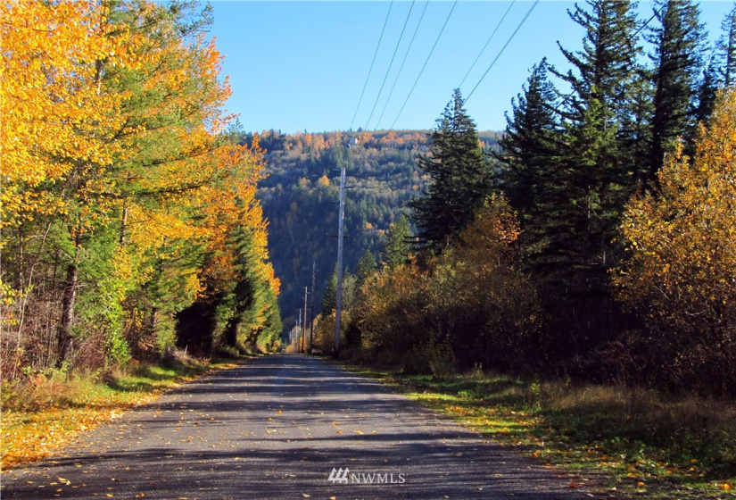 8720 Greentree, Maple Falls, Washington 98266, ,Land,For Sale,Hill No 1 Short Plat,Greentree,NWM1868966
