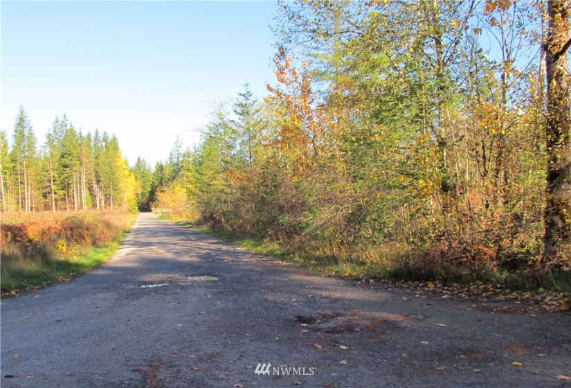8720 Greentree, Maple Falls, Washington 98266, ,Land,For Sale,Hill No 1 Short Plat,Greentree,NWM1868966
