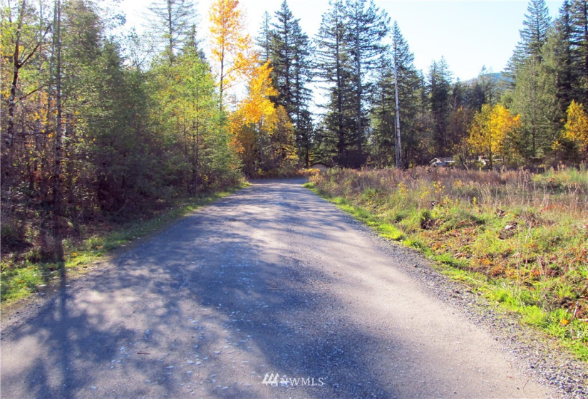 8720 Greentree, Maple Falls, Washington 98266, ,Land,For Sale,Hill No 1 Short Plat,Greentree,NWM1868966