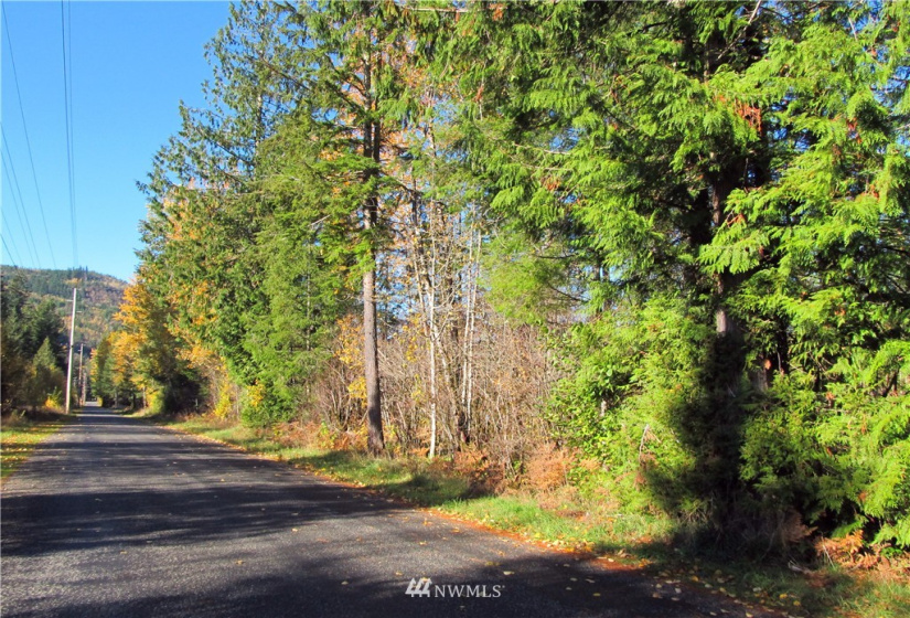 8720 Greentree, Maple Falls, Washington 98266, ,Land,For Sale,Hill No 1 Short Plat,Greentree,NWM1868966