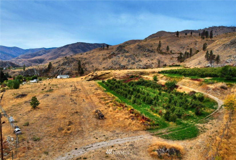 987 A Highway 153, Methow, Washington 98834, ,Land,For Sale,LR Bolinger Plat No 1,Highway 153,NWM1869599