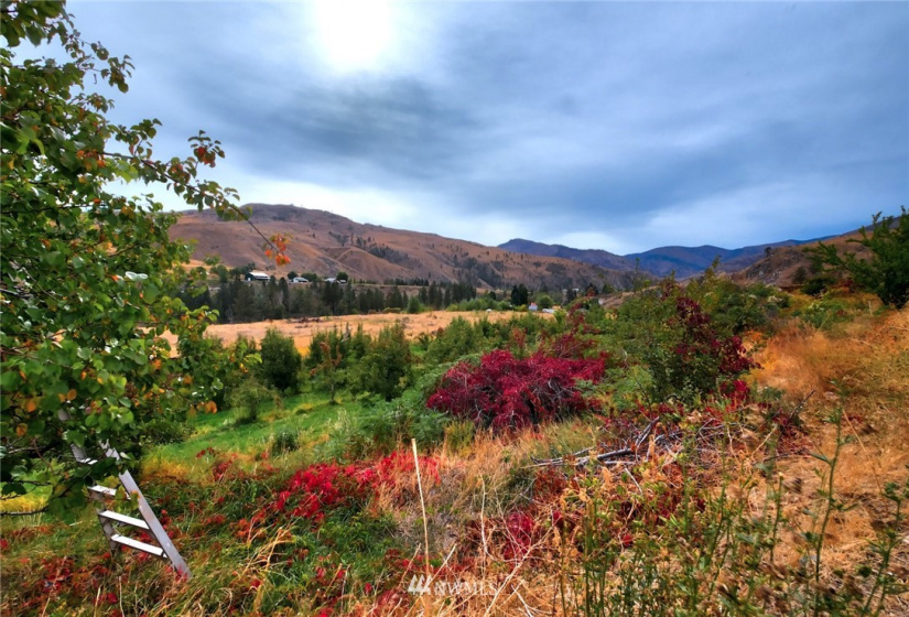 987 A Highway 153, Methow, Washington 98834, ,Land,For Sale,LR Bolinger Plat No 1,Highway 153,NWM1869599