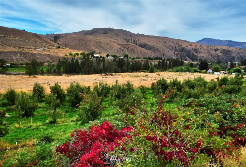 987 A Highway 153, Methow, Washington 98834, ,Land,For Sale,LR Bolinger Plat No 1,Highway 153,NWM1869599