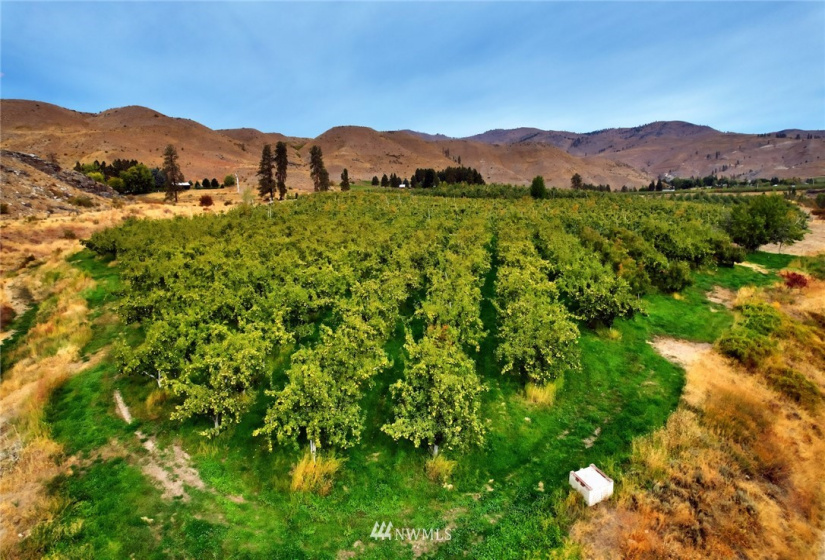 987 A Highway 153, Methow, Washington 98834, ,Land,For Sale,LR Bolinger Plat No 1,Highway 153,NWM1869599
