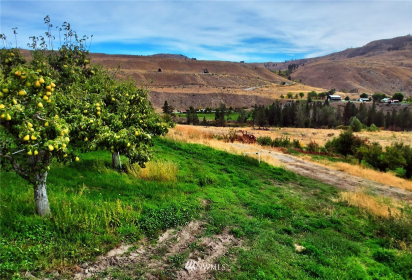 987 A Highway 153, Methow, Washington 98834, ,Land,For Sale,LR Bolinger Plat No 1,Highway 153,NWM1869599
