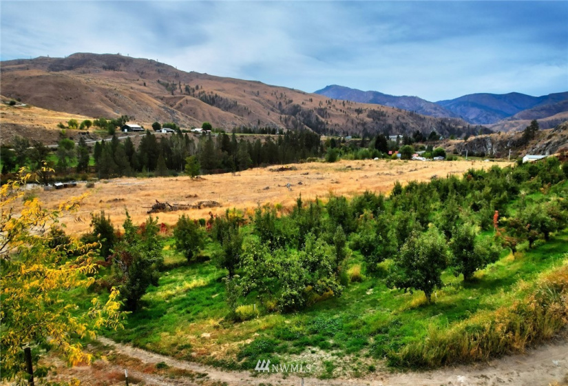 987 A Highway 153, Methow, Washington 98834, ,Land,For Sale,LR Bolinger Plat No 1,Highway 153,NWM1869599