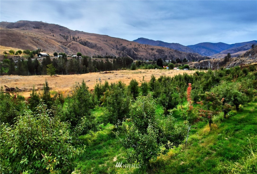 987 A Highway 153, Methow, Washington 98834, ,Land,For Sale,LR Bolinger Plat No 1,Highway 153,NWM1869599