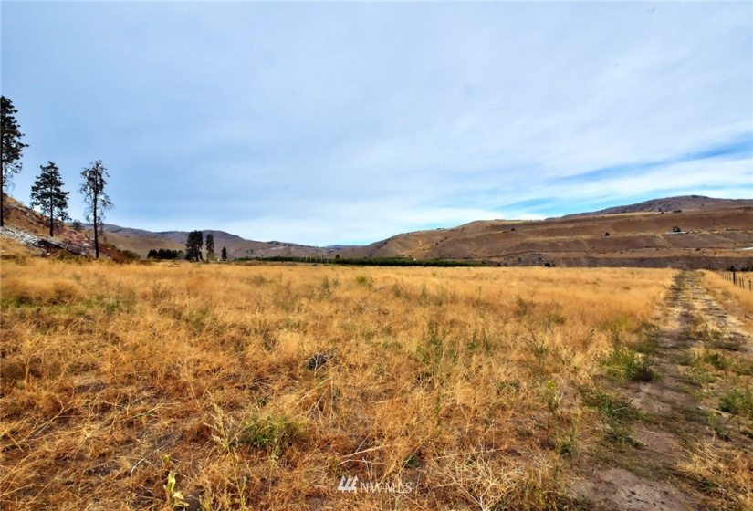 987 B Highway 153, Methow, Washington 98834, ,Land,For Sale,LR Bolinger Plat No 1,Highway 153,NWM1869602