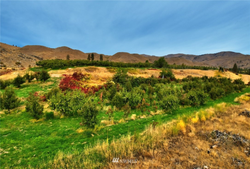 987 B Highway 153, Methow, Washington 98834, ,Land,For Sale,LR Bolinger Plat No 1,Highway 153,NWM1869602