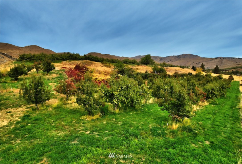 987 B Highway 153, Methow, Washington 98834, ,Land,For Sale,LR Bolinger Plat No 1,Highway 153,NWM1869602