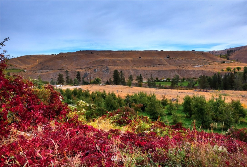 987 B Highway 153, Methow, Washington 98834, ,Land,For Sale,LR Bolinger Plat No 1,Highway 153,NWM1869602