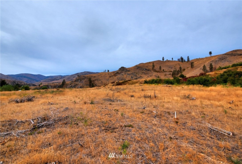 987 B Highway 153, Methow, Washington 98834, ,Land,For Sale,LR Bolinger Plat No 1,Highway 153,NWM1869602