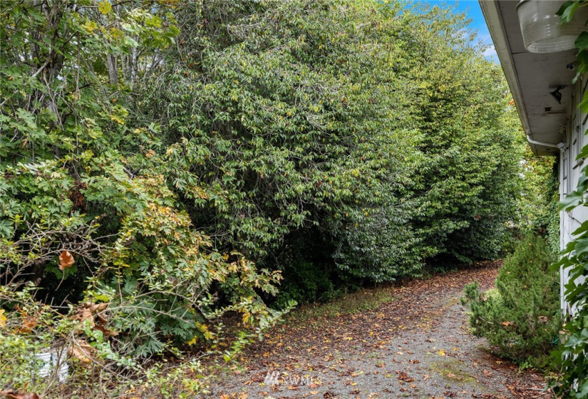 21837 7th, Des Moines, Washington 98198, 4 Bedrooms Bedrooms, ,1 BathroomBathrooms,Residential,For Sale,7th,NWM1869818
