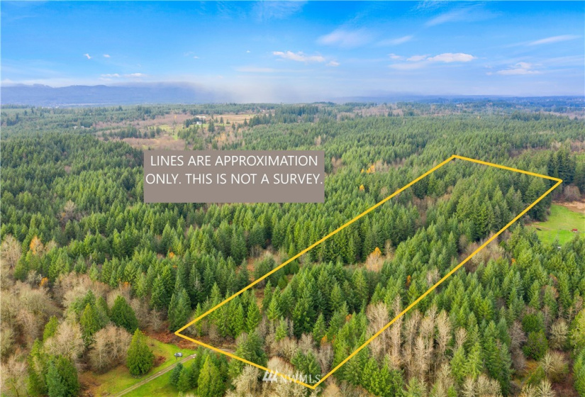 0 Case, Rochester, Washington 98579, ,Land,For Sale,Case,NWM1869835