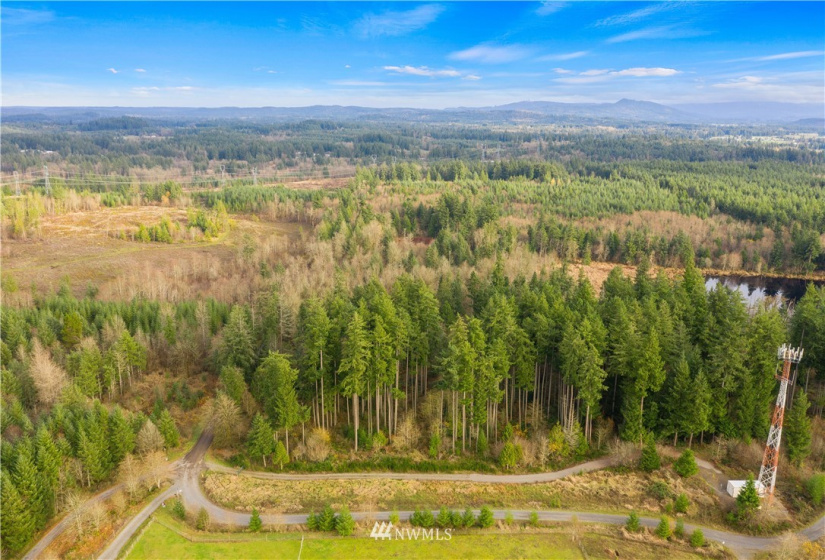 5033 Polehn, Rochester, Washington 98579, ,Land,For Sale,Polehn,NWM1869774