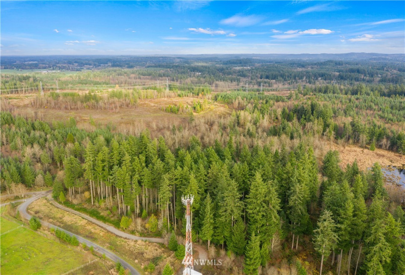 5033 Polehn, Rochester, Washington 98579, ,Land,For Sale,Polehn,NWM1869774