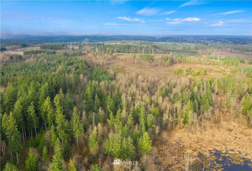 5033 Polehn, Rochester, Washington 98579, ,Land,For Sale,Polehn,NWM1869774