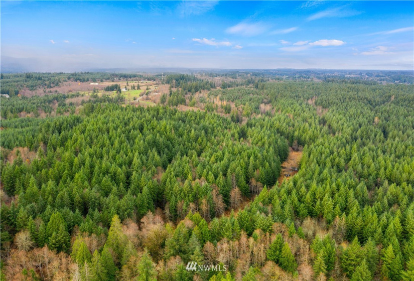 0 Case, Rochester, Washington 98579, ,Land,For Sale,Case,NWM1869777