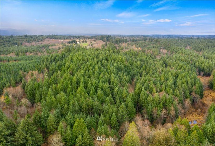 0 Case, Rochester, Washington 98579, ,Land,For Sale,Case,NWM1869777