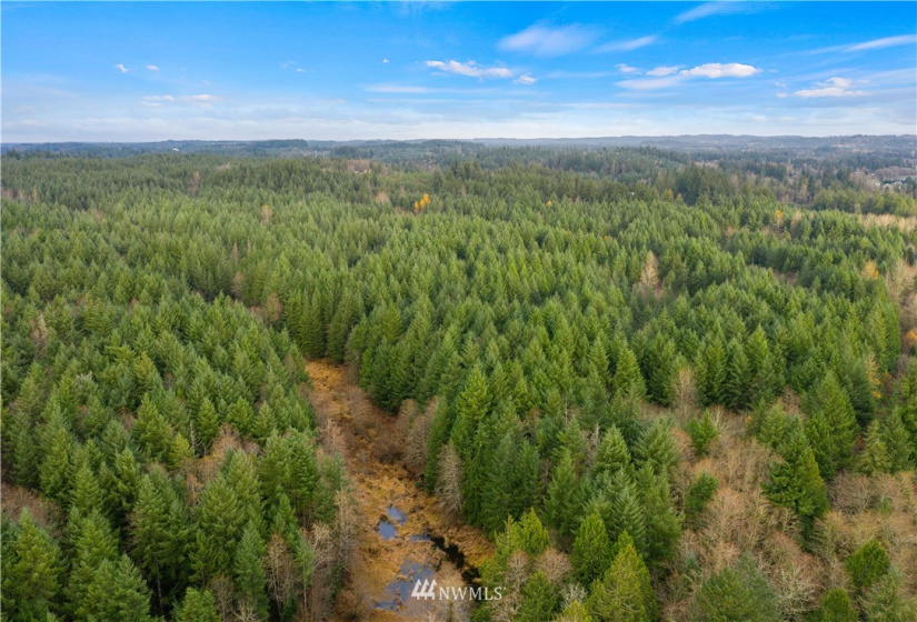 0 Case, Rochester, Washington 98579, ,Land,For Sale,Case,NWM1869777