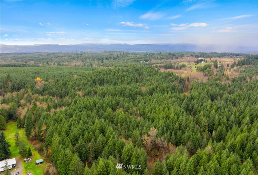 0 Case, Rochester, Washington 98579, ,Land,For Sale,Case,NWM1869777