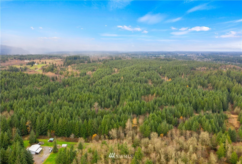0 Case, Rochester, Washington 98579, ,Land,For Sale,Case,NWM1869777