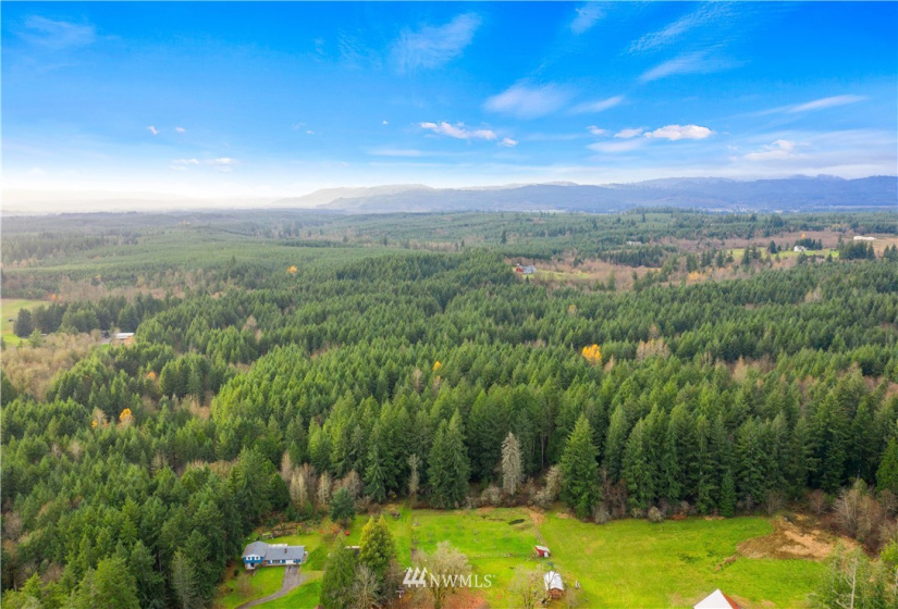 0 Case, Rochester, Washington 98579, ,Land,For Sale,Case,NWM1869777