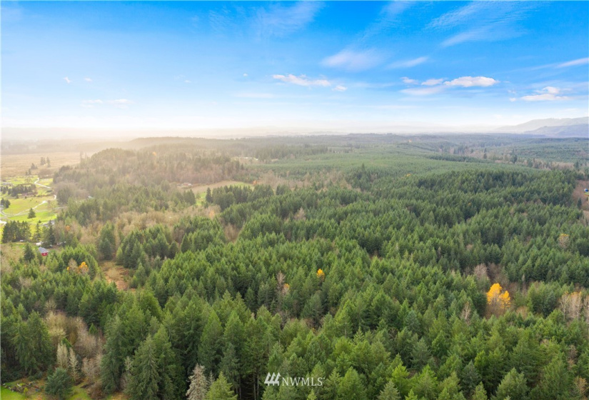 0 Case, Rochester, Washington 98579, ,Land,For Sale,Case,NWM1869777