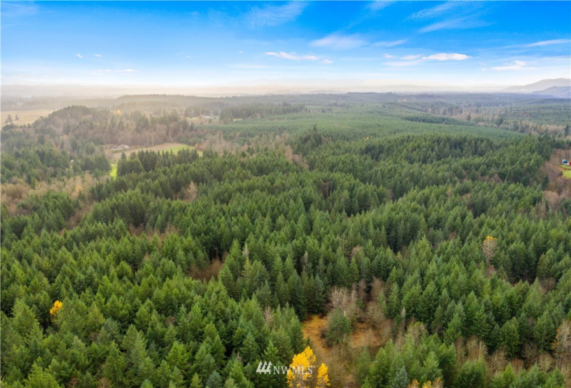 0 Case, Rochester, Washington 98579, ,Land,For Sale,Case,NWM1869777