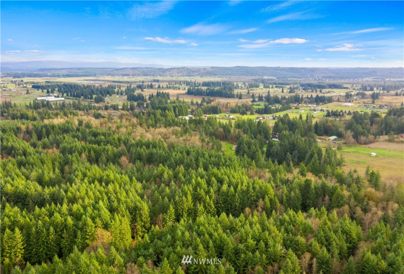 0 Case, Rochester, Washington 98579, ,Land,For Sale,Case,NWM1869777