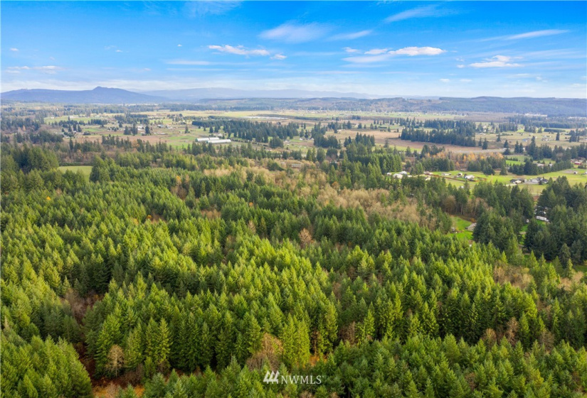 0 Case, Rochester, Washington 98579, ,Land,For Sale,Case,NWM1869777